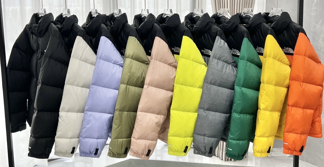 2024 Lastest Model of The North Face Down Jackets